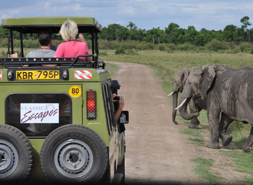 4 Days Serengeti, Ngorongoro & Lake Manyara Exploration | GetYourGuide