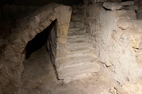 Paris: Notre-Dame Audio Guide + Archaeological Crypt Option Paris: Archaeological Crypt Ticket + Notre-Dame Audio Tour