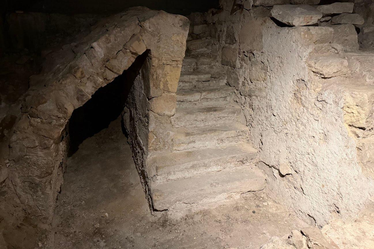 Paris: Notre-Dame Audio Guide + Archaeological Crypt Option Paris: Archaeological Crypt Ticket + Notre-Dame Audio Tour