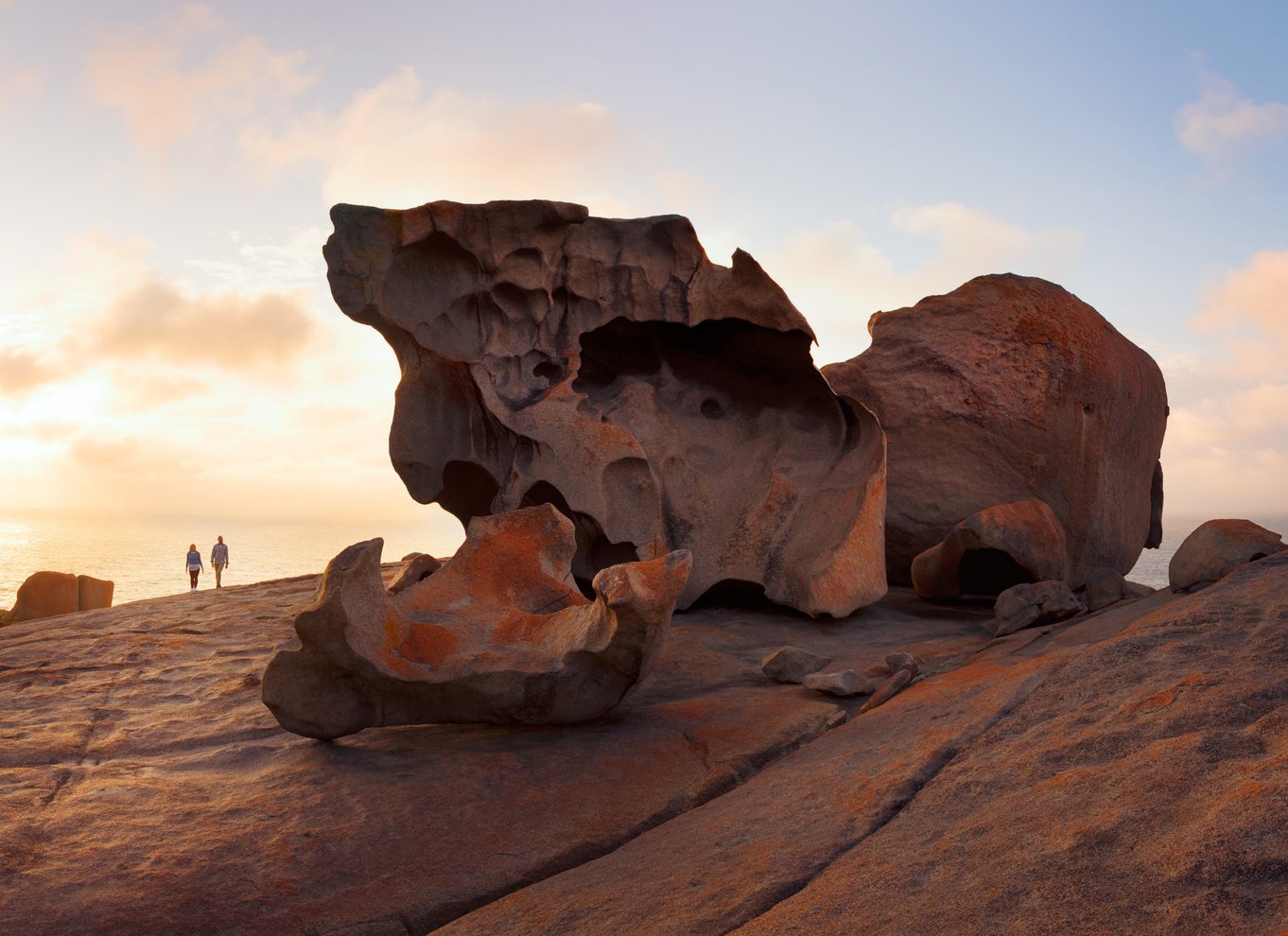 Penneshaw: Landudflugt Kangaroo Island Scenic Tour