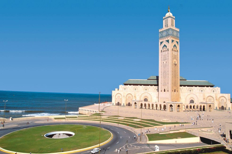 Casablanca: Tour & Guided Mosque Ticket Cruise Excursion