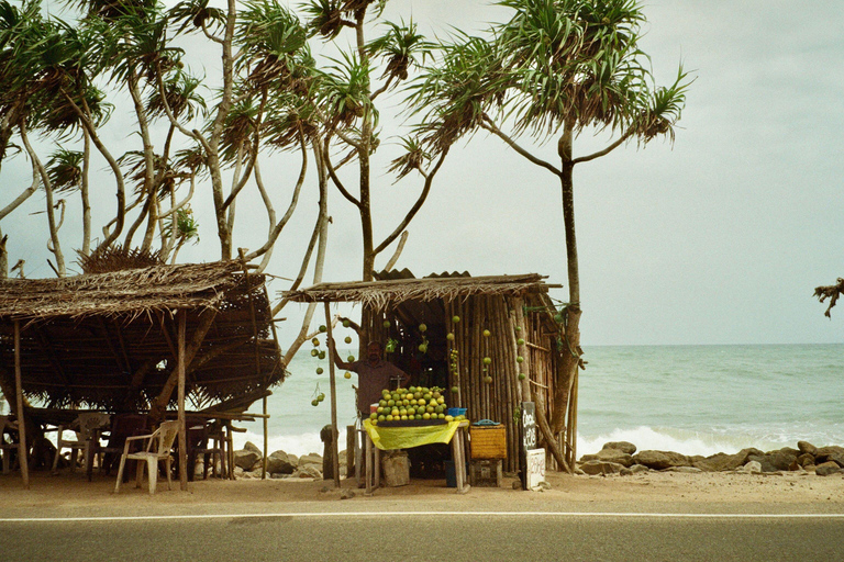 Colombo/Negombo: South Coast Private Transfer & Turtle Visit 3 Person Only