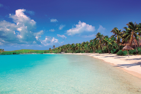 Całodniowa wyprawa przyrodnicza na wyspę Contoy i Isla Mujeres