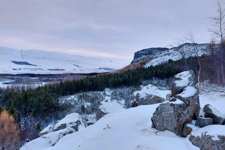 Akureyri: Snowshoeing with The Traveling Viking