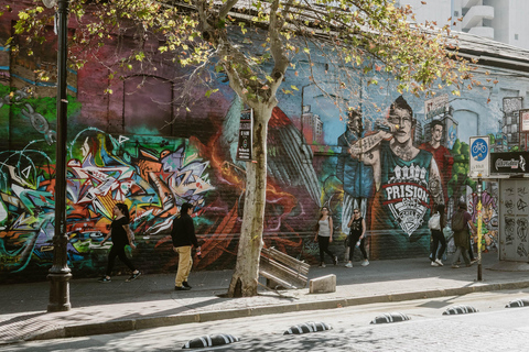 Santiago de Chile: 100% private photo tour, full day