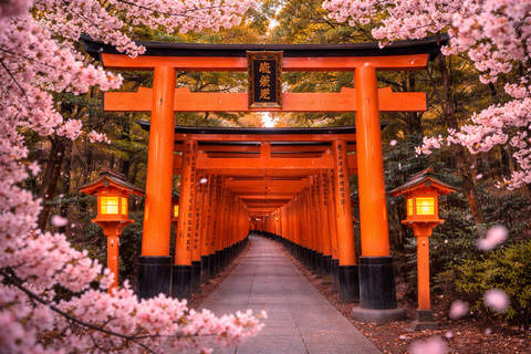 Private Shore Tour:Osaka, Kyoto, Nara, Kobe & Himeji