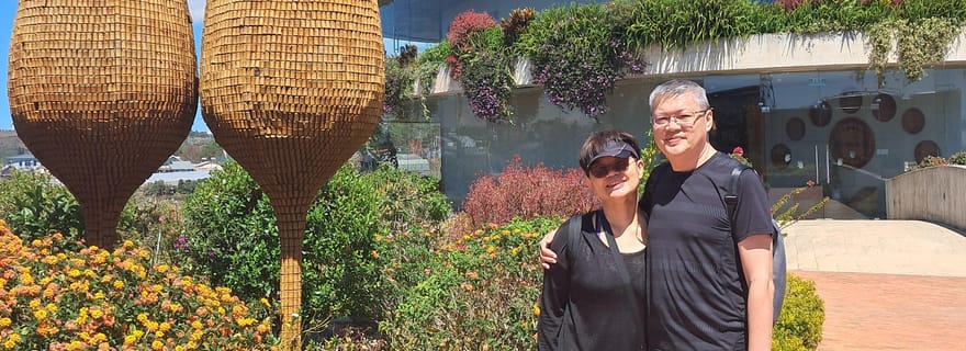 Visite des vignobles et du thé de Dalat