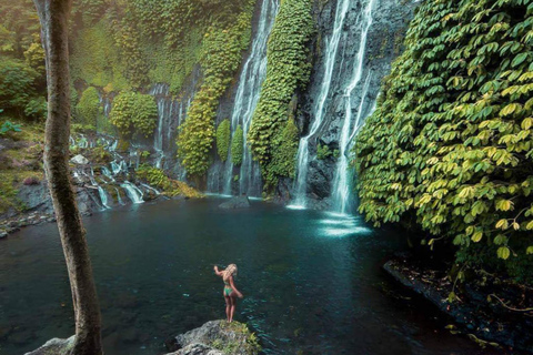 Bali: Tour particular de um dia na Ilha do Norte com a Cachoeira BanyumalaTour sem taxas de entrada