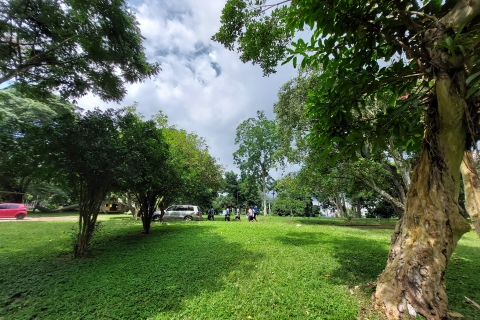 Aburi Botanical Gardens & First Cocoa Farm