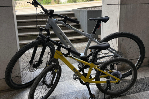 Bled: Premium Bike Rental
