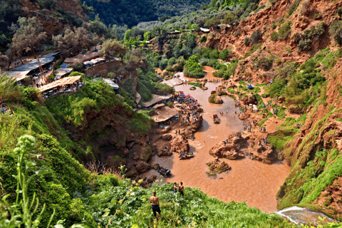 乌祖德瀑布：导游陪同的一日旅行和游船乌祖德瀑布：私人一日游（含导游及乘船游览）