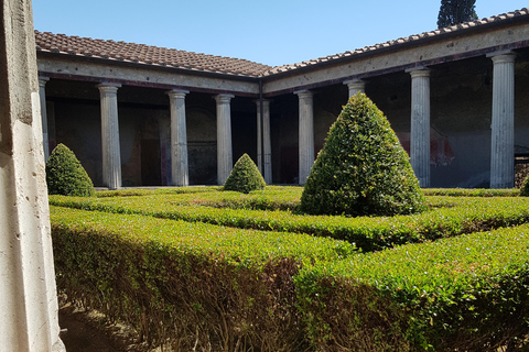 Pompeii told by an expert in Pompeian antiquity Pompeii as told by an expert in Pompeian antiquity