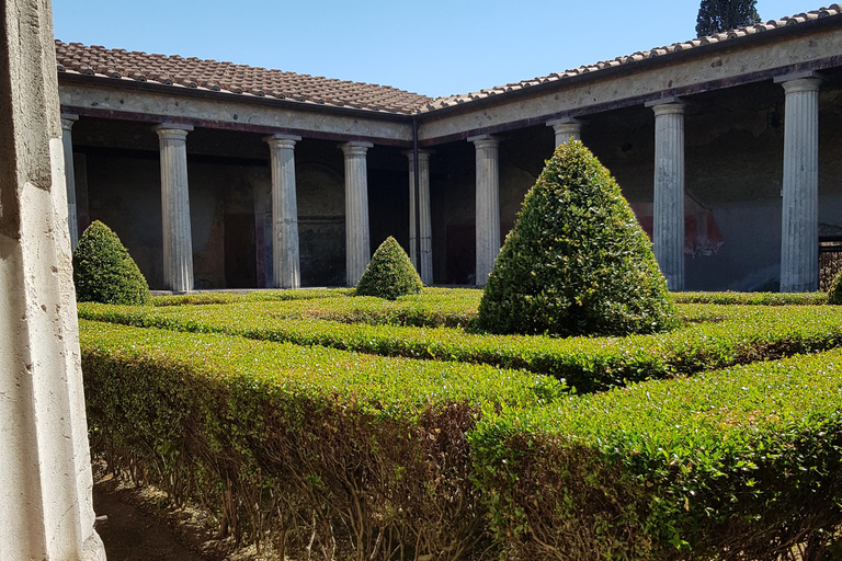 Pompeii told by an expert in Pompeian antiquity Pompeii as told by an expert in Pompeian antiquity