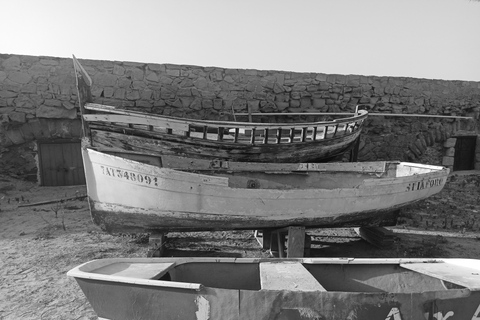 From Alicante and Torrevieja: Excursion to Tabarca, Santa Pola and Laguna Rosa Excursion in Spanish from Alicante