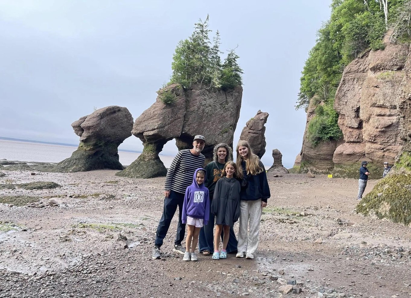 Moncton: Naturskøn shuttleoplevelse til Hopewell Rocks