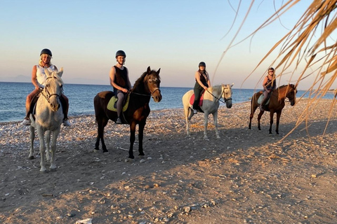 جزيرة رودس: ركوب الخيل على الشاطئ عند غروب الشمس