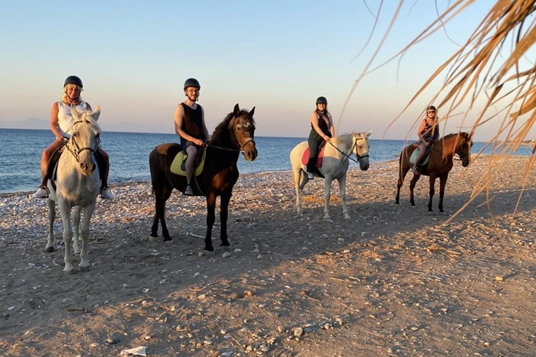 جزيرة رودس: ركوب الخيل على الشاطئ عند غروب الشمس