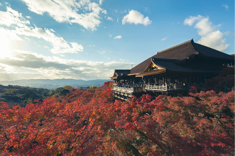 Tokyo: 8-Day Tour with Fuji, Kyoto, Nara, Hiroshima & Osaka Day 8 - Osaka Highlights (Spanish)