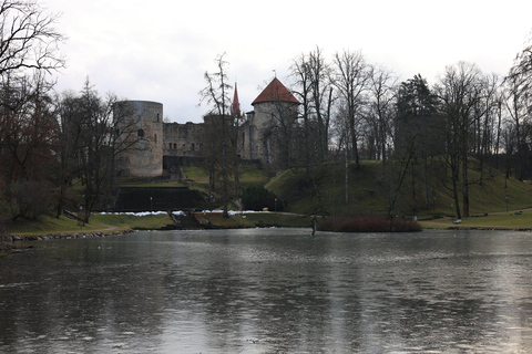 From Riga: Sigulda, Cēsis & Gauja National Park Tour