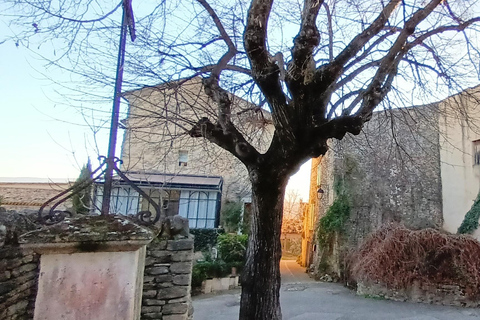 夏季之旅，4天/ 3晚，骑电动自行车探索普罗旺斯夏季之旅，4天/3夜，骑电动自行车探索普罗旺斯