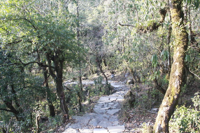 Pokhara: 3-Day Astam, Dhampus, and Australian Camp Trek