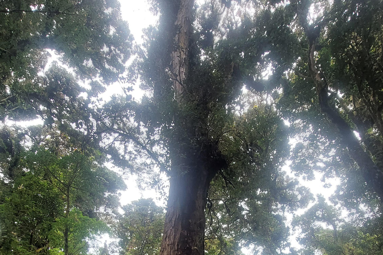 Volcan Barva Heredia Voyage et promenade