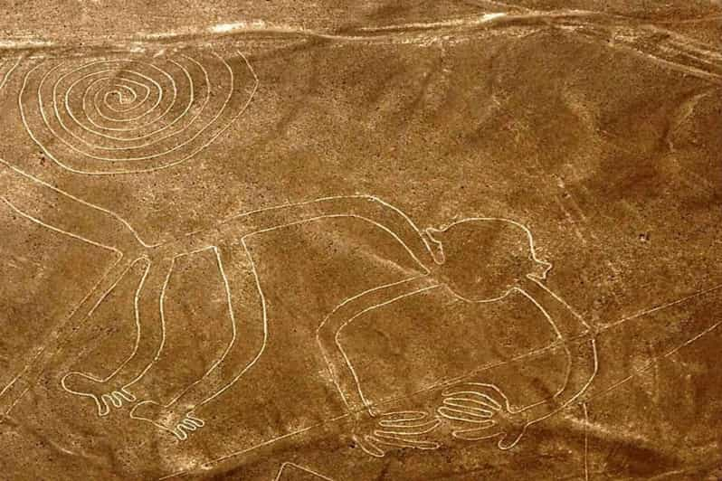 Exploring The Ancient Nazca Lines From The Sky Full Day GetYourGuide