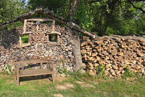 Boppard: geführte Wanderung auf der Traumschleife "Hasenkammer"