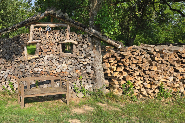 Boppard: geführte Wanderung auf der Traumschleife "Hasenkammer"