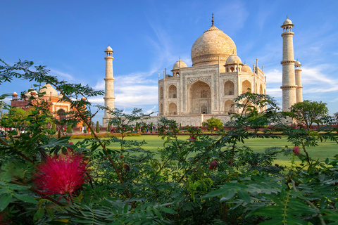 Visite du Taj Mahal au lever du soleil et du fort d'Agra avec Fatehpur SikriCircuit avec voiture, chauffeur et guide uniquement