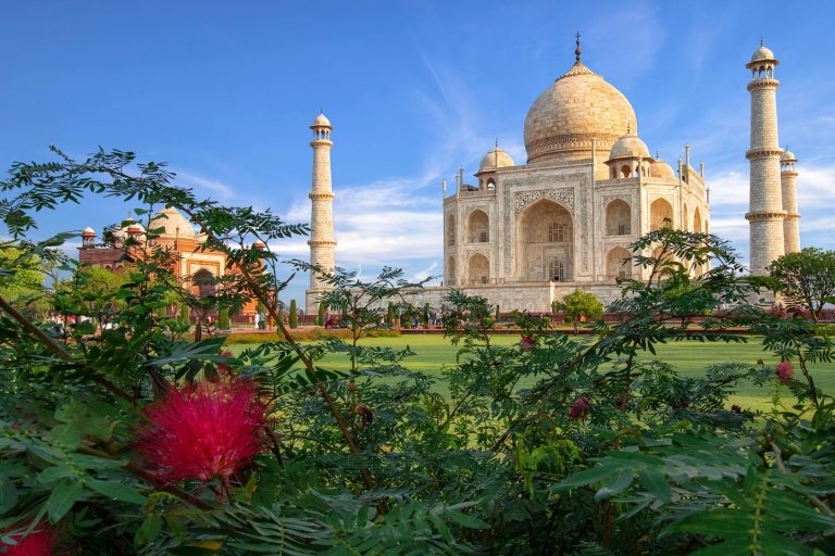 Visite du Taj Mahal au lever du soleil et du fort d'Agra avec Fatehpur SikriCircuit avec voiture, chauffeur et guide uniquement