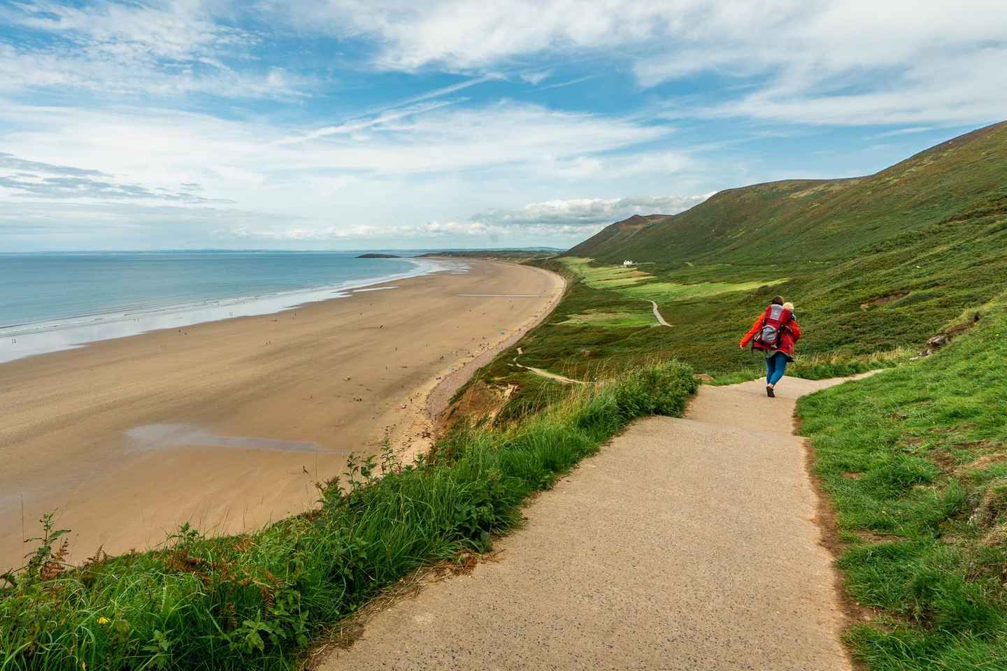 Da Cardiff: Tour Gower tra Scogliere e Natura