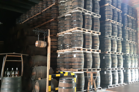 Punta Cana: Viagem Privada de Meio Dia Cultural com Sabores DominicanosPunta Cana: viagem cultural privada de meio dia pelos sabores dominicanos