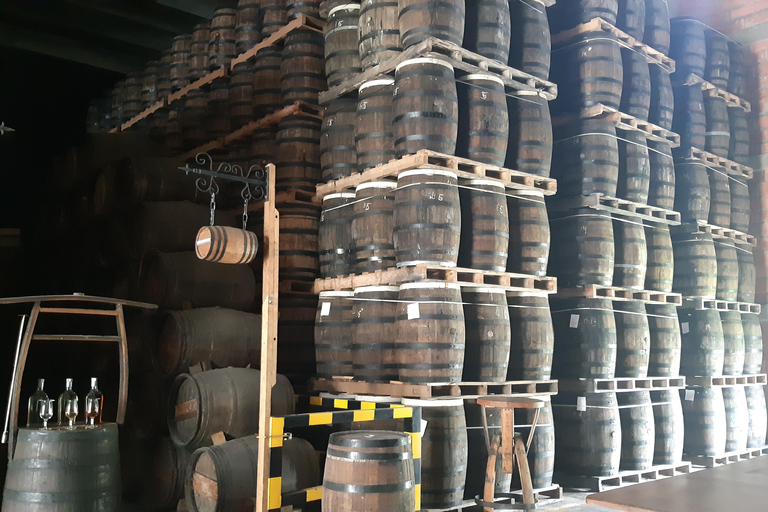 Punta Cana: Viagem Privada de Meio Dia Cultural com Sabores DominicanosPunta Cana: viagem cultural privada de meio dia pelos sabores dominicanos