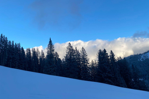 Ehrwald : Randonnée en raquettes à Zugspitze avec vue sur les montagnes