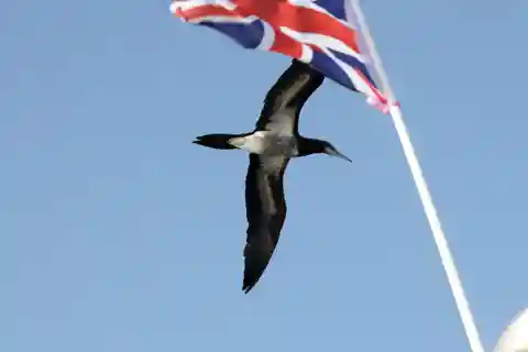 Costa Rica: Bird Watching & Photography Private Charter