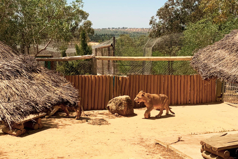 Tunesië: Friguia Park GezinsarrangementTunesië: Friguia Park ophaalservice vanuit Mahdia / Hammamet