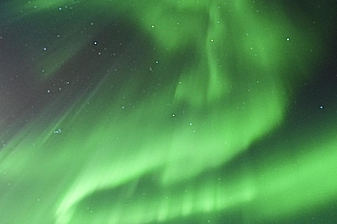 Rovaniemi: Guaranteed Northern Lights & Photography Tour