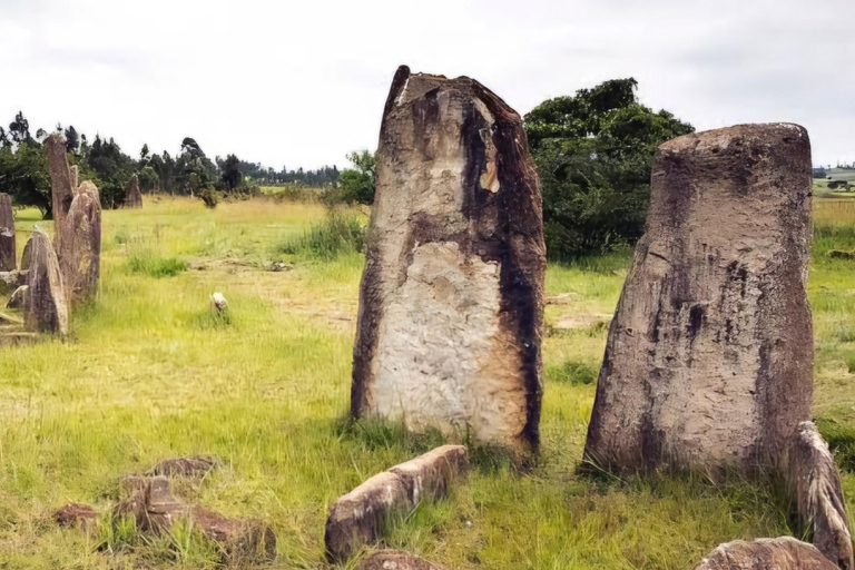 Adadi Mariam Church & Tiya Day Trip