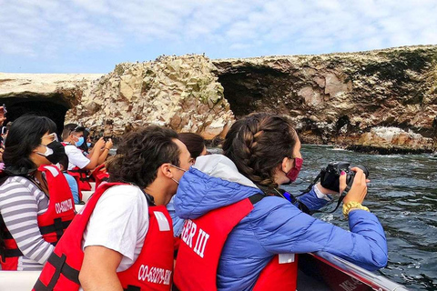 Desde Ica | Excursión de 2 días a Ica- Huacachina y Paracas