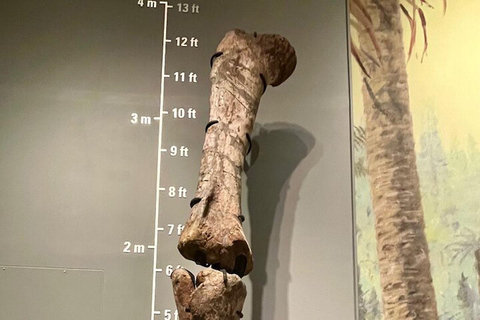 Day of Dinosaurs and Hoodoos From Calgary to Drumheller