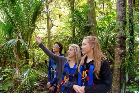 Isla Waiheke: tirolina y aventura en el bosque nativoCon servicio de recogida y regreso