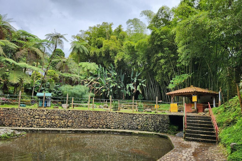 MEDELLIN : VISITE DES JARDINS + ANDES (VUE PANORAMIQUE) + ÉLEVAGE DE TRUITES