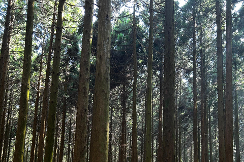 Tour privato del patrimonio naturale dell&#039;UNESCO con una guida certificata