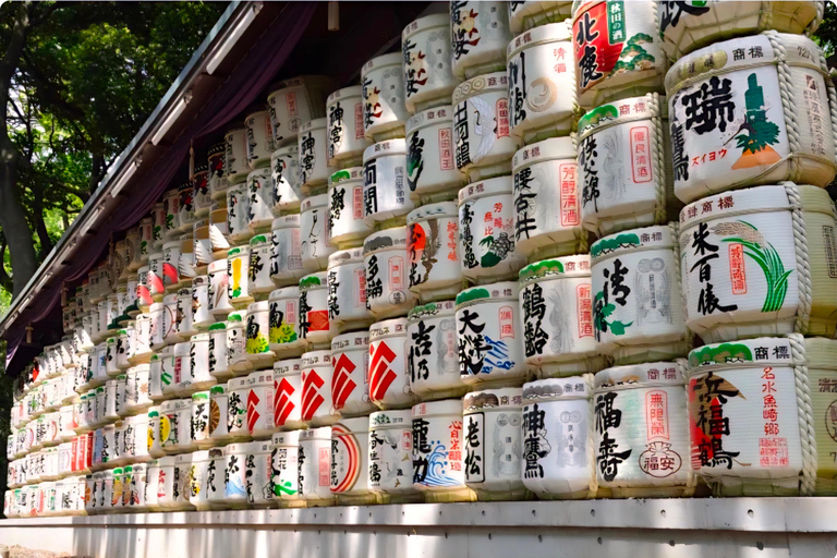 Tokyo Tour:Viral Instagram & TikTok Highlights by Luxury Car