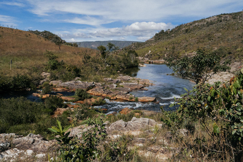 From São Paulo: 5-Day Serra da Canastra Wildlife Safari