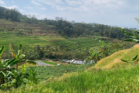 Yogyakarta: Jeep Merapi y Terrazas de Arroz Javanesas de Selo Griyo