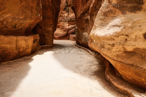 Aqaba: Tour privato di Petra e Wadi Rum con cena un giorno