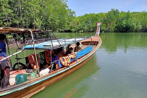 Koh Lanta: excursão de meio dia ao manguezal e ao acampamento de elefantes