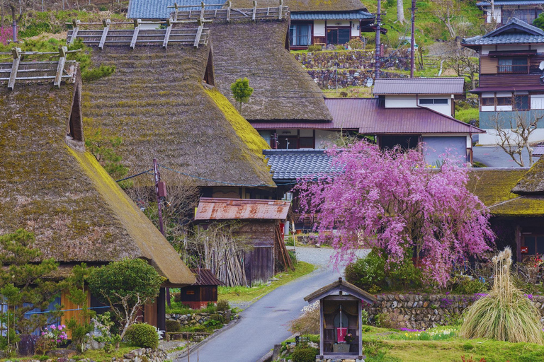 Osaka: Amanohashidate, Ine Boat Houses & Miyama Day Trip 1:Tango Amanohashidate + Ine + Miyama（Snacks for Seagulls）